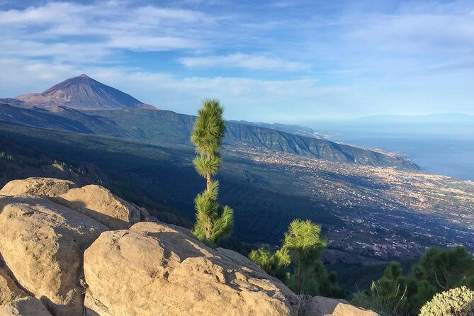 Mount Teide and Tenerife North with Food & Wine Tasting Private Tour - Who Is This Tour Best For?