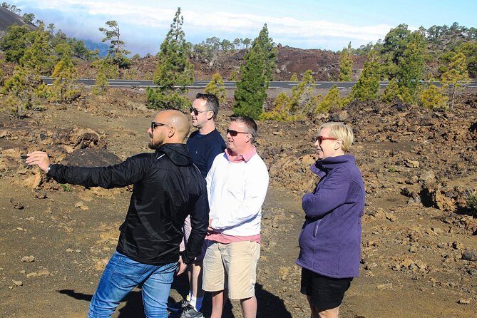 Mount Teide and Teno Country Park Private Tour - Who Should Book This Tour?