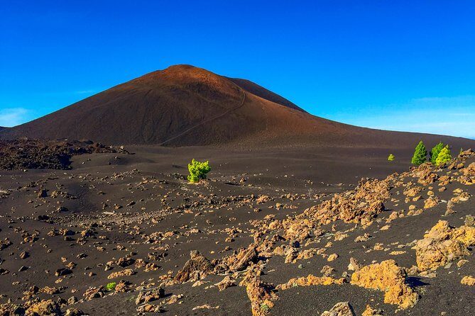 Mount Teide and Teno Country Park Private Tour - The Sum Up