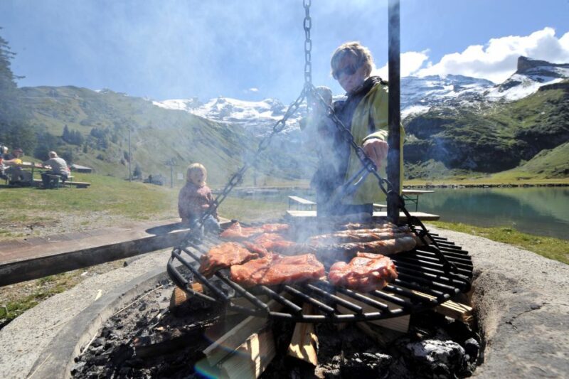 Mount Titlis: Admission Ticket - Who Should Consider This Tour?