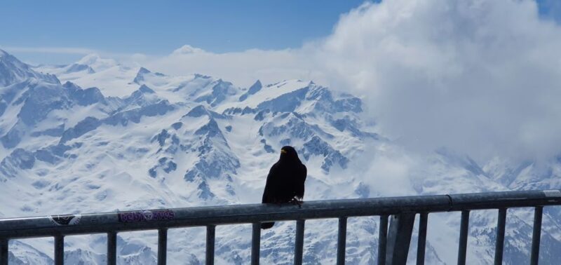 Mount Titlis Glacier World Private Day Trip from Basel - Is It Worth the Price?