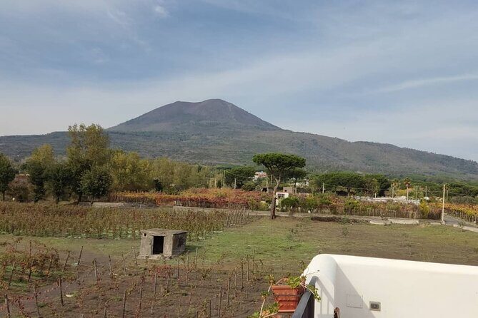 Mount Vesuvius Half Day Private Tour - Why Consider This Tour?
