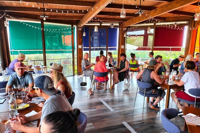 Mount Vesuvius Shore Tour, Pompeii & Winery Vesuvius Winery - Who Should Consider This Tour?