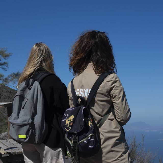 Mount Vesuvius: Skip-the-Line Ticket and Audio Guide - Key Points