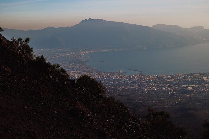 Mount Vesuvius Skip the Line Ticket + Multilingual Audio Guide - Who Should Consider This Tour?