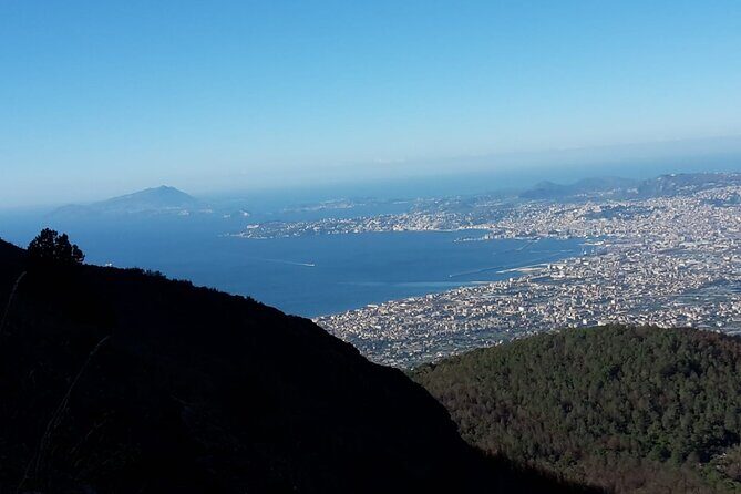 Mount Vesuvius tour by bus and ticket included from Ercolano - Final Thoughts