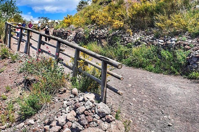Mount Vesuvius Tour with Entry Ticket & Lunch from Sorrento - Practical Tips for Booking and Participating
