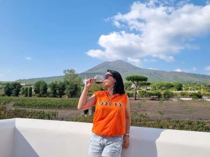 Mount Vesuvius: Vineyards Tour with Wine Tasting and Lunch - The Experience: What You Can Expect