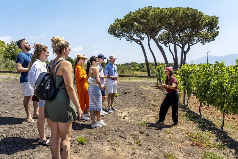 Mount Vesuvius: Vineyards Tour with Wine Tasting and Lunch - Who Should Consider This Tour?
