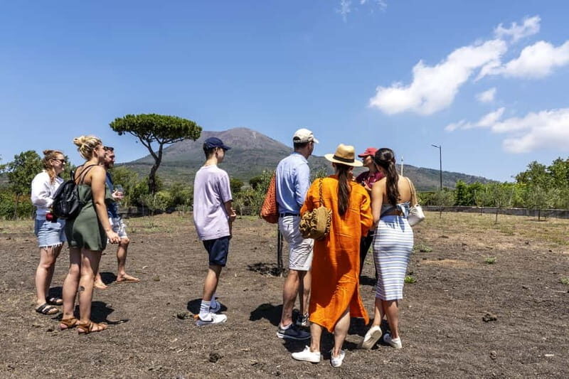 Mount Vesuvius: Vineyards Tour with Wine Tasting and Lunch - Final Thoughts