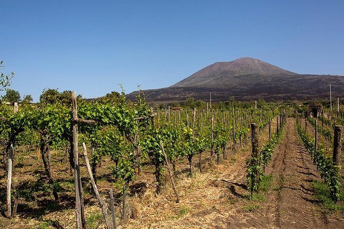 Mount Vesuvius & Wine Tasting with Lunch Private Tour from Amalfi Coast - Final Thoughts