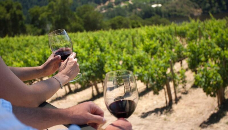 Mount Vesuvius Wine Tour with Tastings and Lunch - FAQs