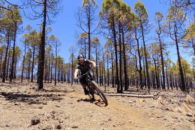 Mountain bike excursions - An Overview of the Experience
