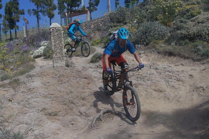 Mountain bike excursions - Balancing Value and Experience