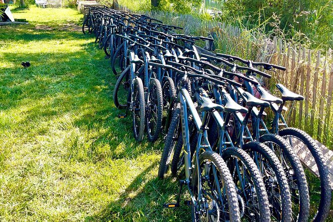 Mountain bike rental in Camargue - The Practical Details