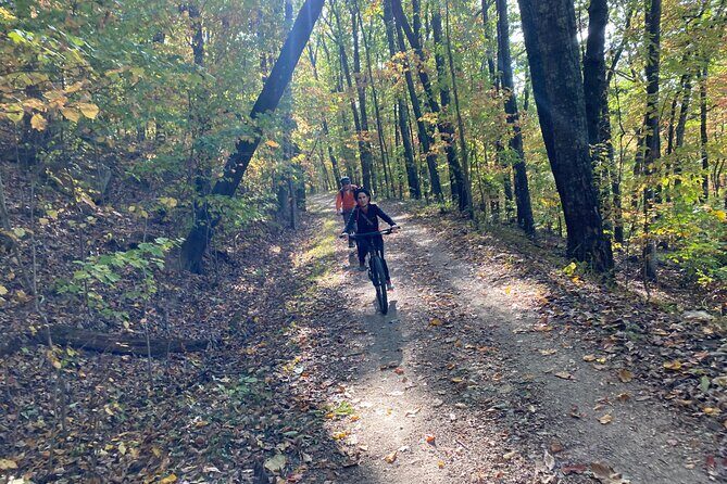Mountain Bike Rentals by Chattanooga Guided Adventures - Trail Conditions and Riding Experience