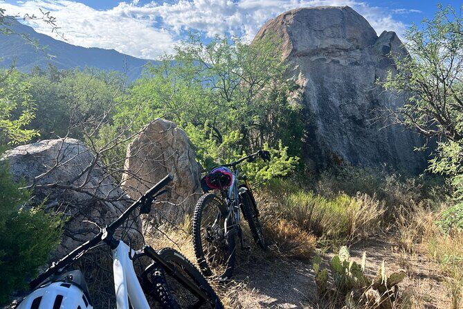 Mountain Bike Rentals - Practical Tips for Your Ride