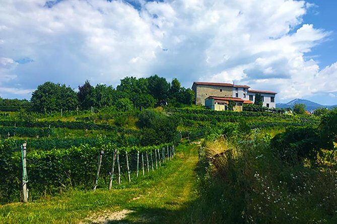 Mountain Bike tour in Spina Verde natural park - Setting the Scene: What You Can Expect