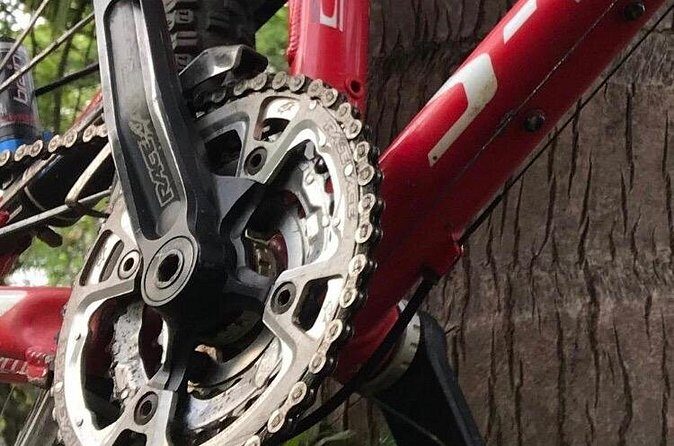 Mountain Bike Tours - What to Expect at Each Stop