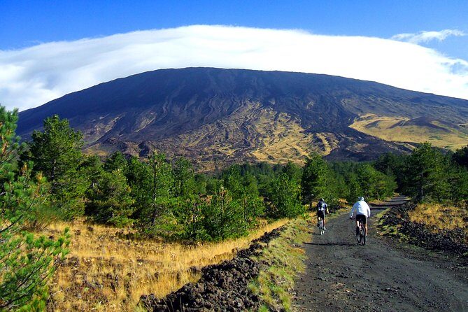 Mountain Biking Etna by MTB or E-Bike - Pricing and Value