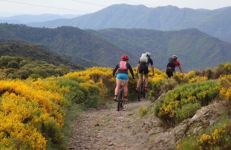 Mountain biking & kayaking in the Cévennes d'Ardèche - Adventure with a guide - Frequently Asked Questions