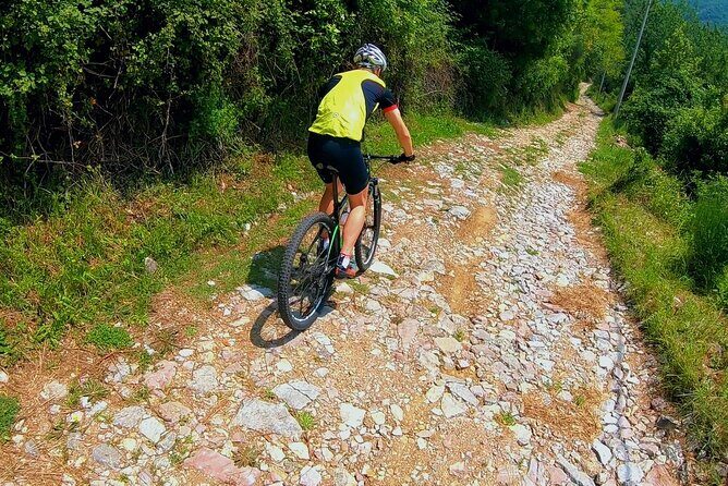 Mountain Biking on Vrmac peninsula - Panoramic view on Kotor bay - An Overview of the Vrmac Mountain Biking Experience