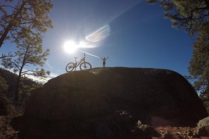Mountain Biking Tour at La Primavera Forest - Setting the Scene: La Primavera Forest near Guadalajara