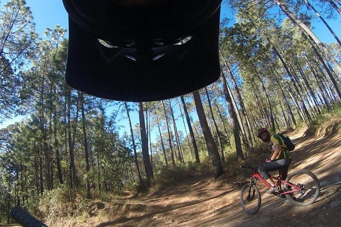 Mountain Biking Tour at La Primavera Forest - What You Can Expect on the Tour