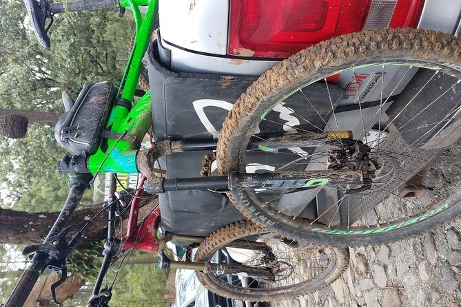 Mountain Biking Tour at La Primavera Forest - Downsides and Considerations