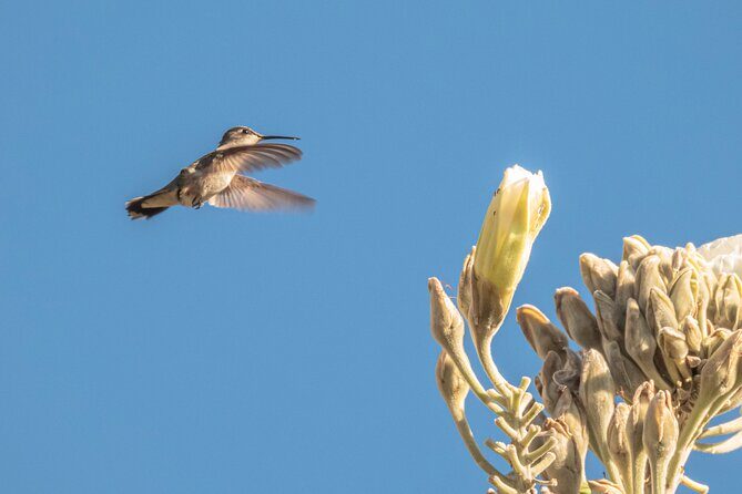 Mountain Hike & Rituals - An In-Depth Look at What This Tour Offers