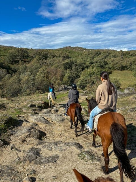 Mountain Horseback Ride, Lunch, Wine Tasting - Key Points