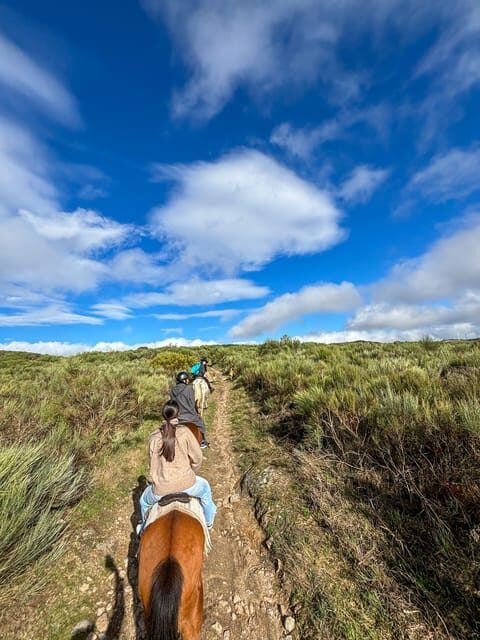 Mountain Horseback Ride, Lunch, Wine Tasting - Practical Details & Logistics
