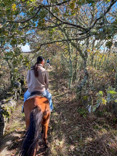 Mountain Horseback Ride, Lunch, Wine Tasting - What Are the Downsides?