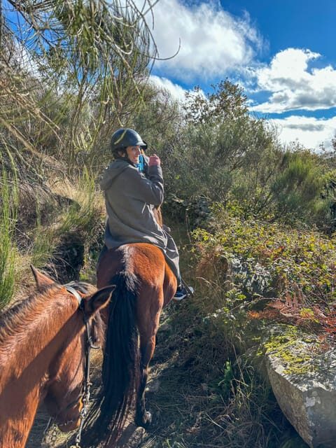 Mountain Horseback Ride, Lunch, Wine Tasting - Who Should Consider This Tour?
