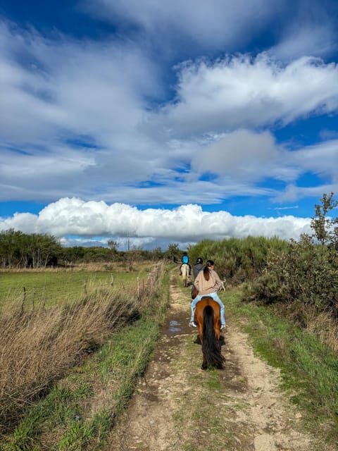 Mountain Horseback Ride, Lunch, Wine Tasting - FAQ