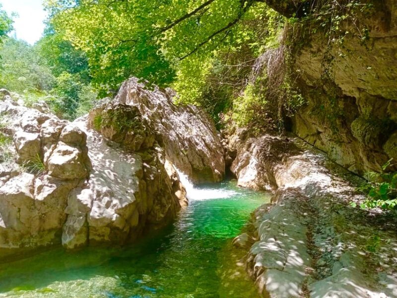 Mountain Train Experience: Hike & Mystic Forest (From Nice) - The Experience in Detail