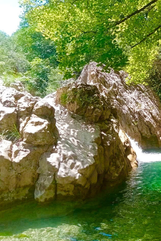 Mountain Train Experience: Hike & Mystic Forest (From Nice) - Practical Tips & Considerations