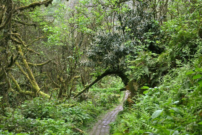 Mountains of Adjara Private Wine Tour from Batumi - FAQs