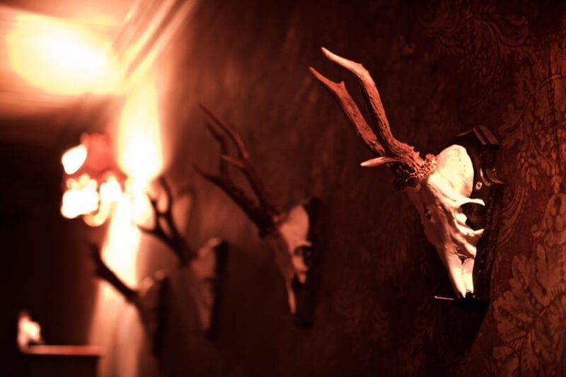 moviESCAPE Stockport Haunted House II escape room game - Who Will Enjoy This Experience?