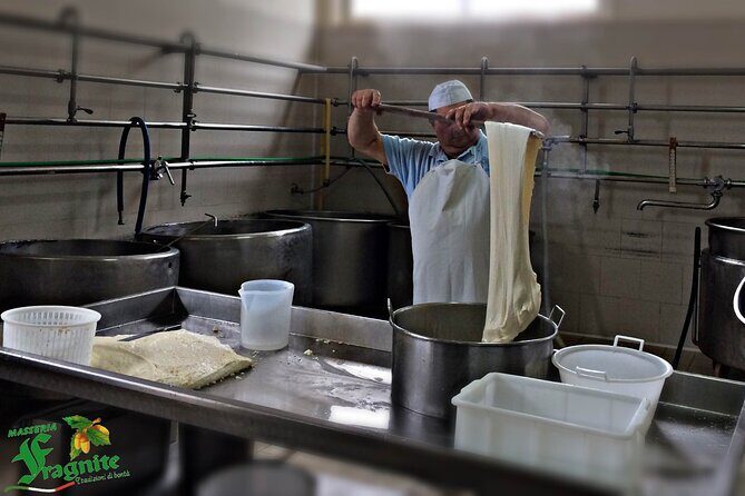 Mozzarella Experience - Cheese Tour and tastings to Masseria Fragnite - An In-Depth Look at the Tour Experience