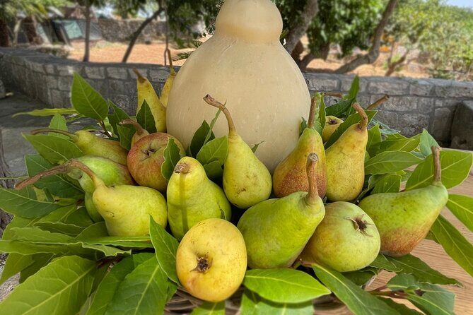 Mozzarella Experience - Final Thoughts