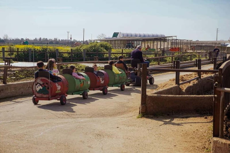 Mozzarella experience: discovering the art of cheese making - Key Points