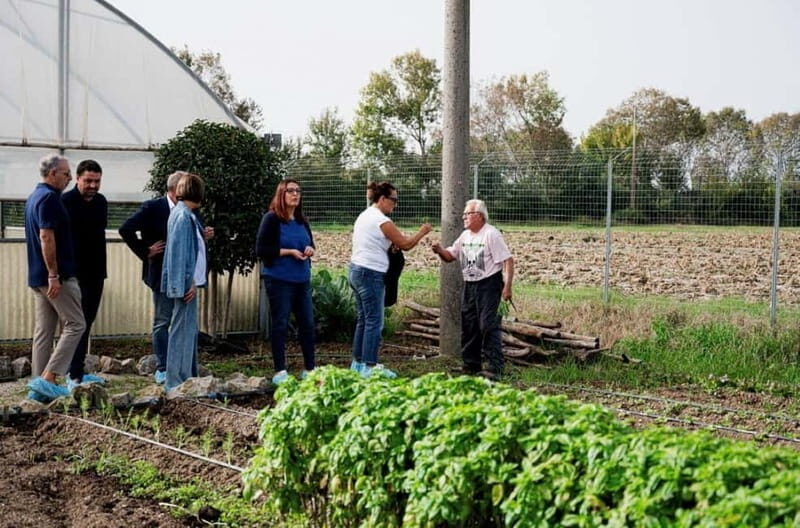Mozzarella experience: discovering the art of cheese making - Practical Details and Tips