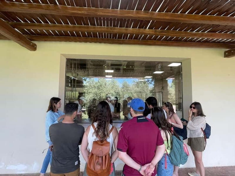 Mozzarella Experience: Tour + Lunch in Paestum's dairy - What is the Mozzarella Experience in Paestum?