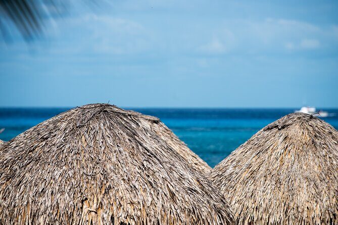 Mr. Sanchos Beach Club All-Inclusive Day Pass - Who Should Consider This Experience?