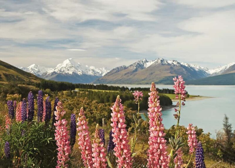 Mt. Cook Day-Tour: Christchurch to Queenstown - An Honest Look at the Itinerary and Experience