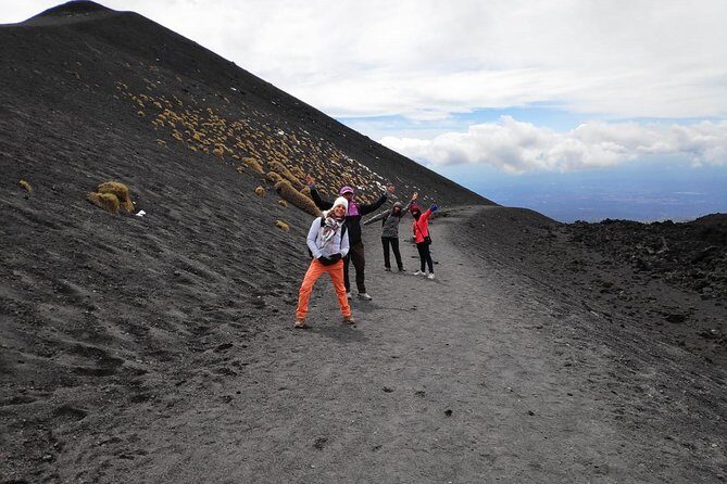 Mt. Etna nature and flavors half day Tour from Catania - Who Is This Tour Best For?