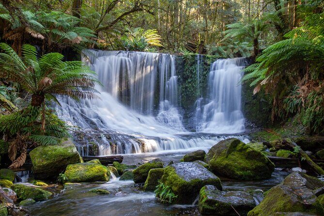 Mt Field National Park and Russell Falls from Hobart - What to Expect from Your Day Trip to Tasmania’s Top Natural Spots