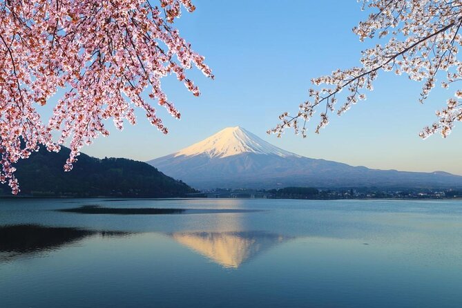 Mt Fuji & Hakone Cruise, Drum Show Bullet Train 1 Day from Tokyo - Key highlights worth your attention