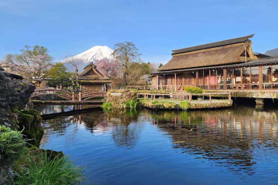Mt. Fuji Private Day Tour: Luxury Car, Pagoda & Hidden Gems - The Real Value Proposition: Why Private Makes Sense Here